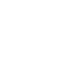 Shild Png Icon