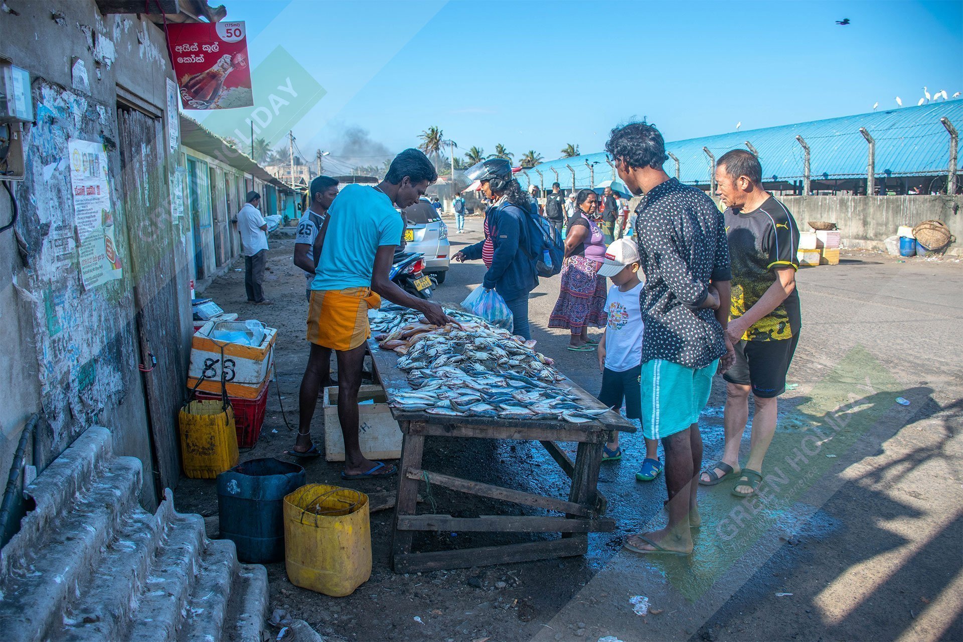 Negombo Fish Market
