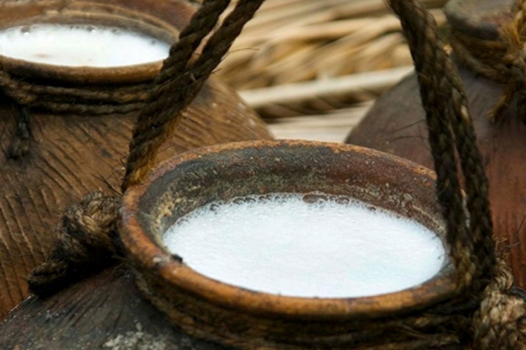 Pol Raa Toddy Industry in Sri Lanka