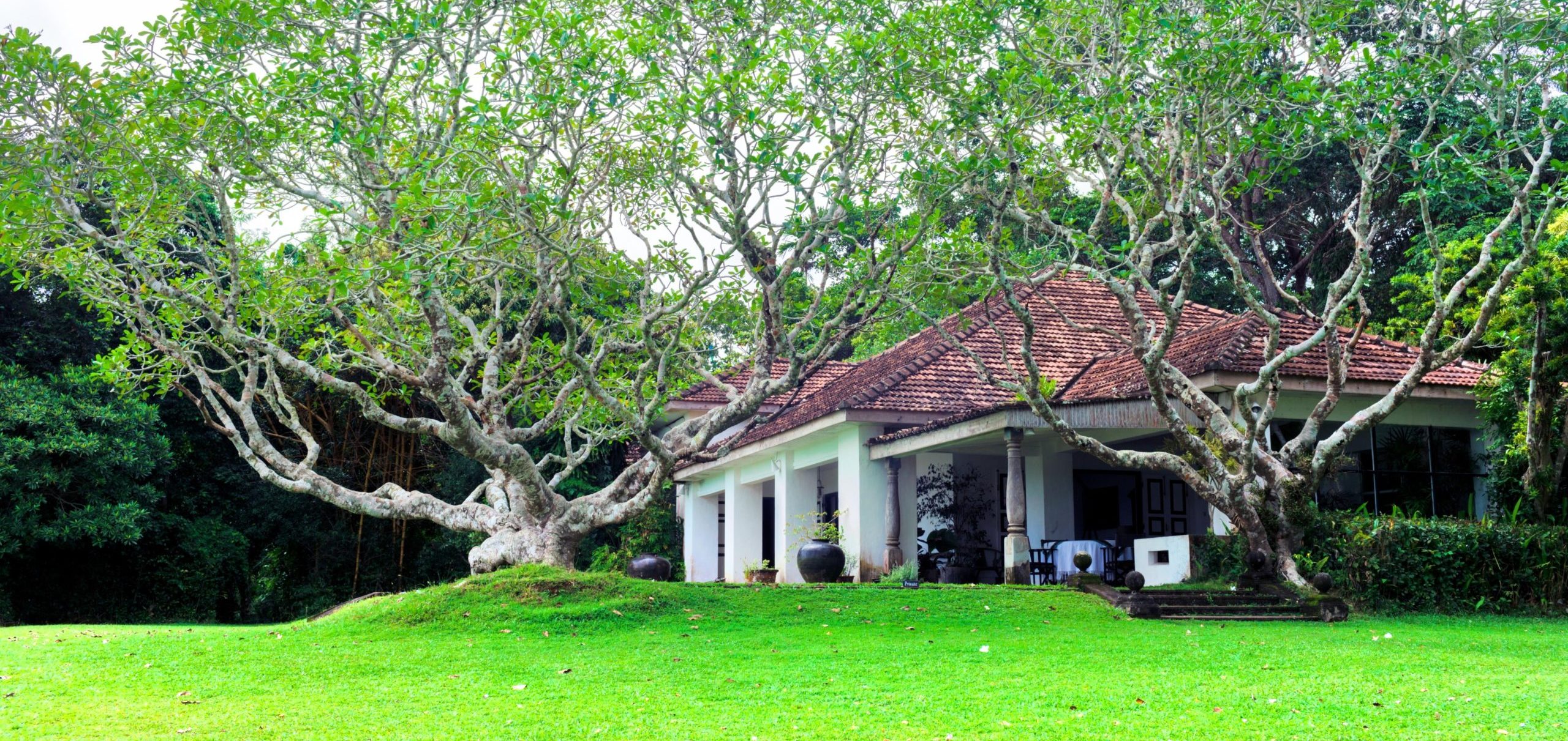 Lunuganga Estate Day Tour from Colombo