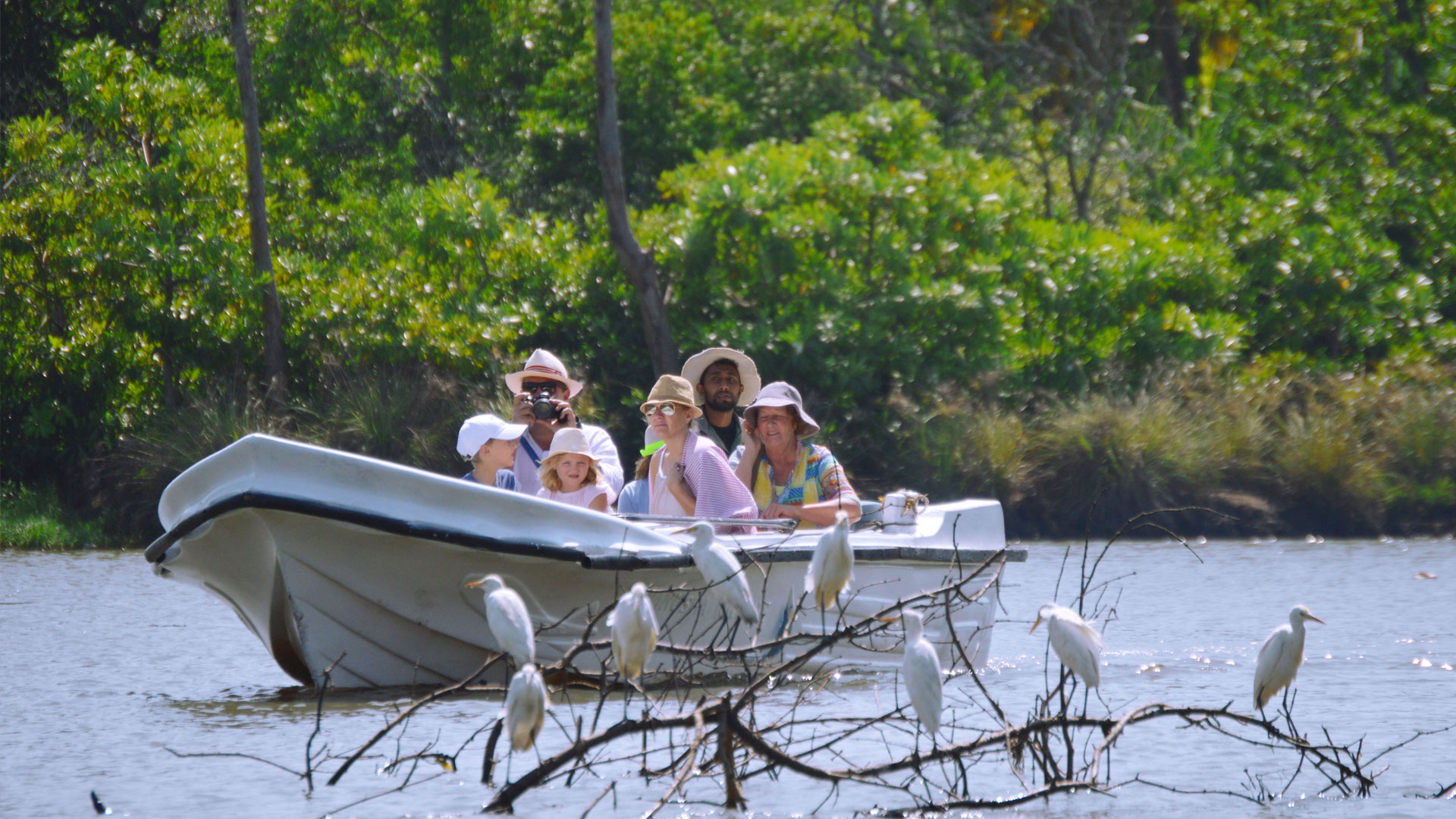 Morning Boat Tour Adventure in Negombo Lagoon