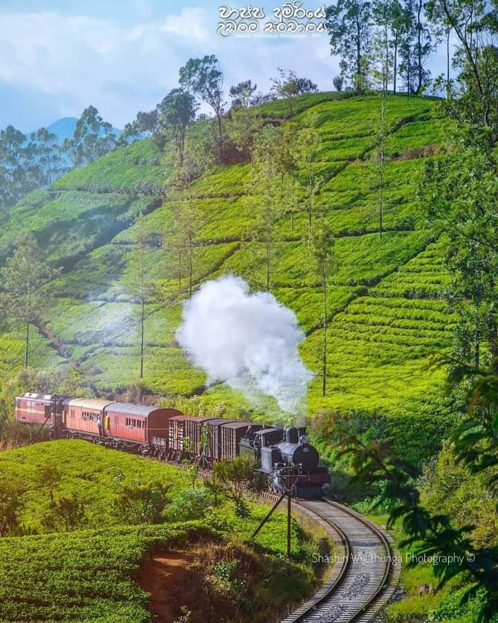 Kandy to Ella tain journey