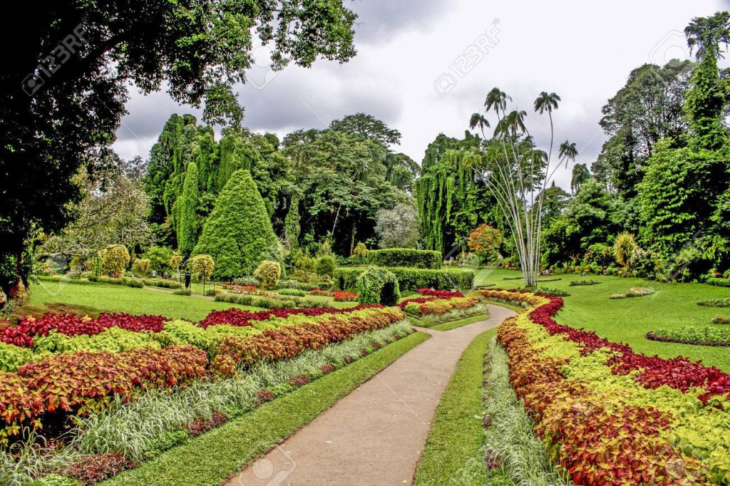 Peradeniya Royal Botanical Gardens